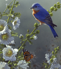 Bluebird and Butterfly painting detail