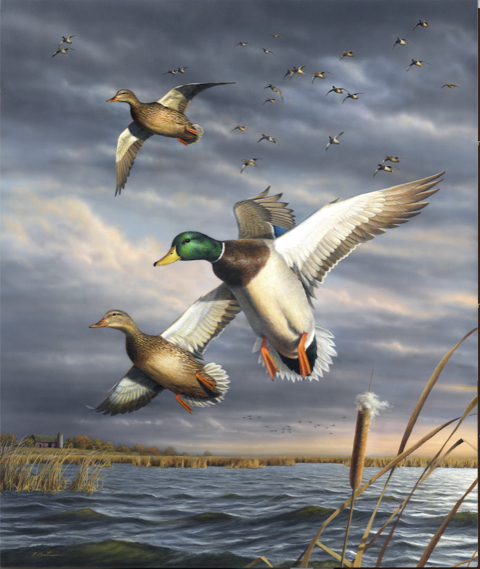 Mallard print