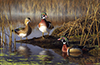 hautman woodduck print