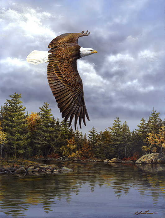 eagle painting