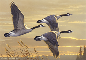 2017-2018 Federall Duck Stamp print
