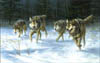On the Move