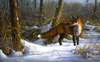 Chance Encounter