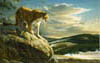 Vantage Point - Cougar