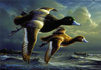 1999 Federal Duck Stamp