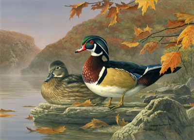New Jersey Duck stamp