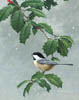 Chickadees and Holly