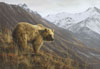 Grizzly Country