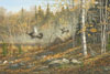 Ruffed Grouse Morning