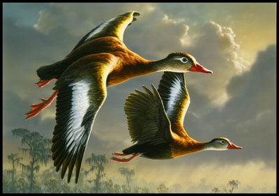 1990 Federal Duck Stamp