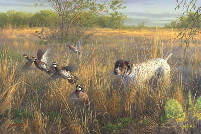 Quail painting