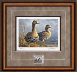 2011-2012 Federal duck print