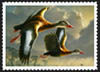 Stamp Prints