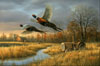 Back Forty, Pheasants