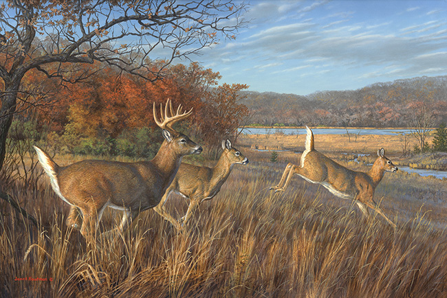 Whitetail Deer painting
