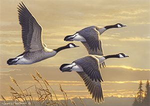 2017-2018 Federal Duck Stamp print