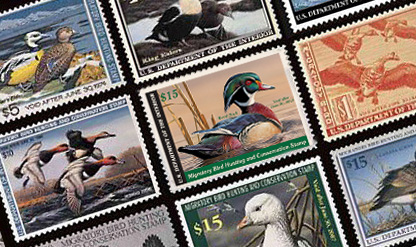 federal stamps