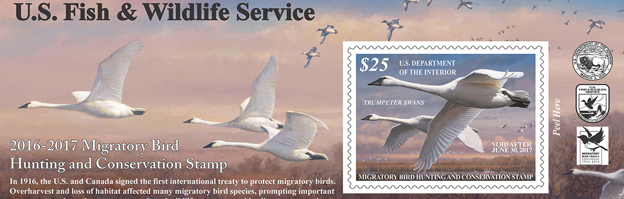 2016-17 Federal
          Duck Stamp