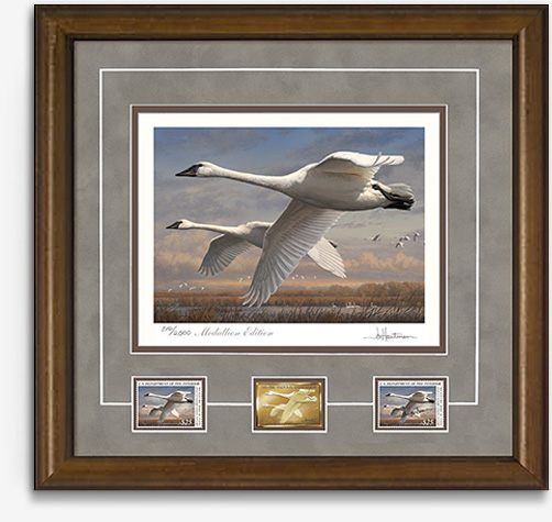 2016 federal duck
                  stamp- Medallion edition