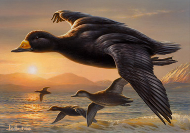 2002 Federal Duck Stamp