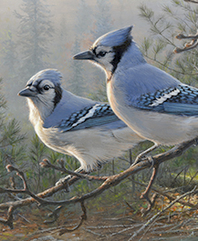 Blue Jays painting