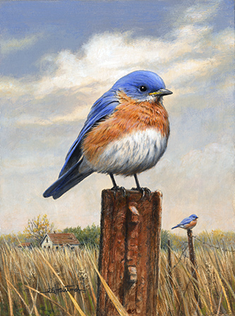Joe Hautman bluebird painting