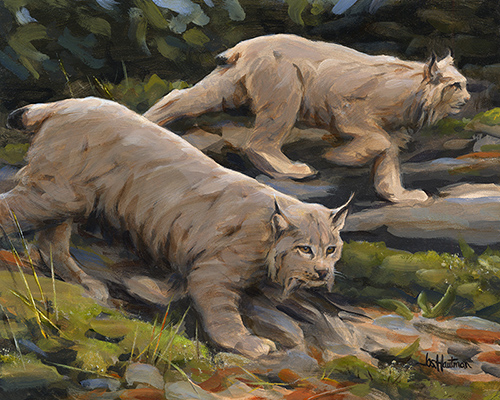 Lynx Pair