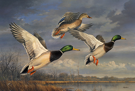 Mallard painting