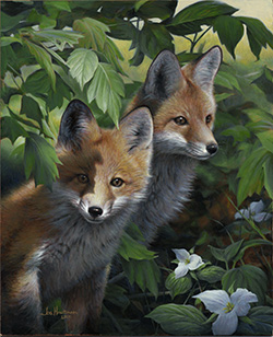 Fox kits