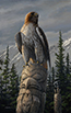 hawk