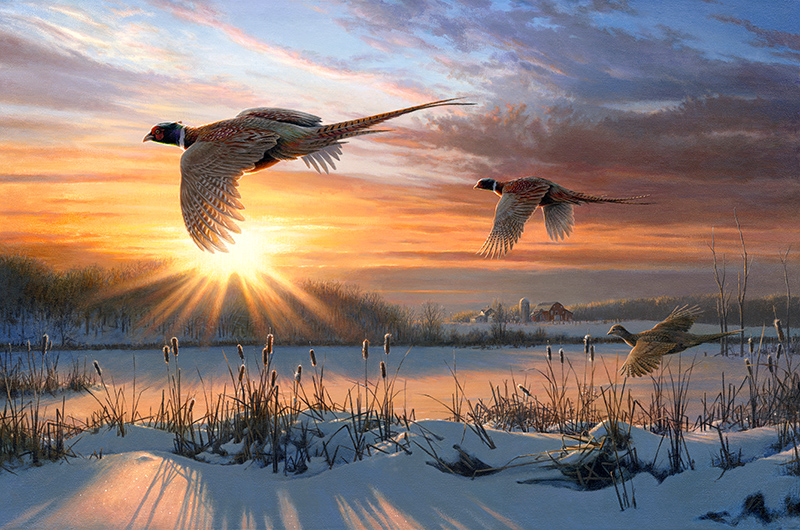 Pheasant painting